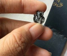 Hồ ly thạch anh tóc đen