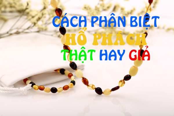 Hổ phách
